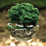 MINDSET-THEORY-FIXED-VS-GROWTH